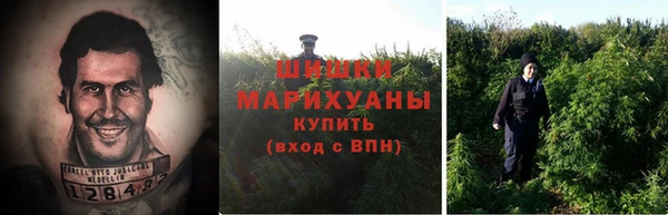 прущие крисы Пересвет