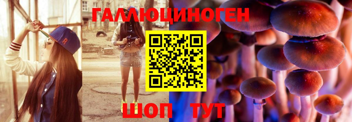 Шарыпово  Псилоцибиновые грибы Magic Shrooms  Вход с VPN  Псилоцибиновые грибы Psilocybe 